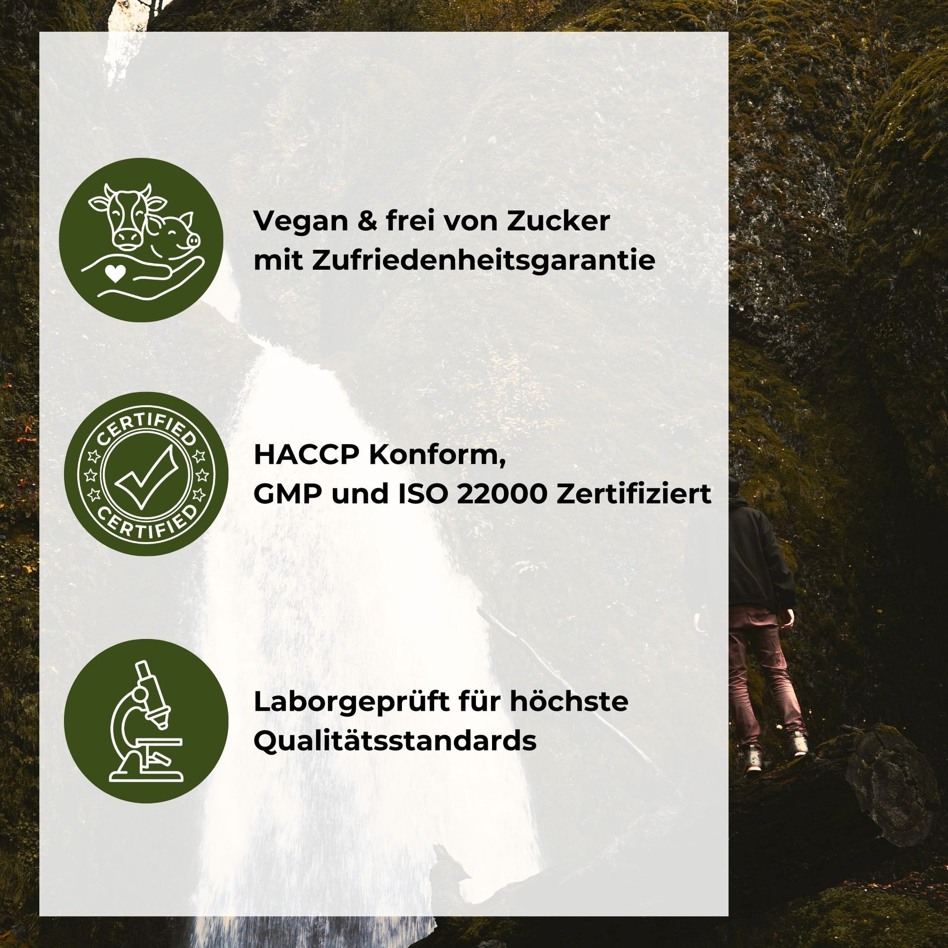 Ashwagandha Gummies Qualitätsversprechen: Vegan & frei von Zucker mit Zufriedenheitsgarantie, HACCP konform sowie GMP und ISO 22000 zertifiziert, laborgeprüft für höchste Qualitätsstandards