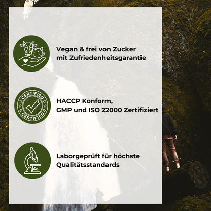 Ashwagandha Gummies Qualitätsversprechen: Vegan & frei von Zucker mit Zufriedenheitsgarantie, HACCP konform sowie GMP und ISO 22000 zertifiziert, laborgeprüft für höchste Qualitätsstandards