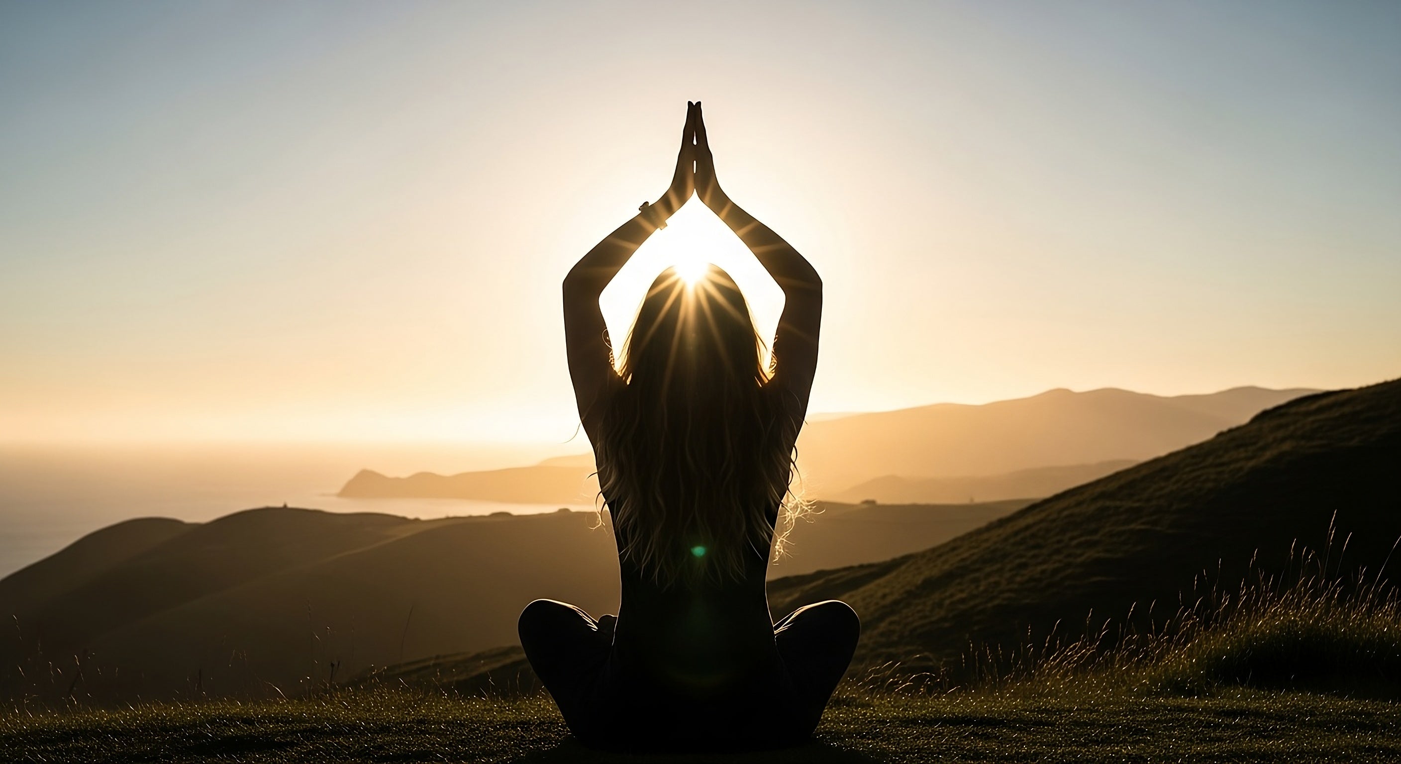 evoVital Premium-Nahrungsergänzung: Optimal dosierte Vitamine, Mineralstoffe und Supplements für maximale Wirksamkeit und tägliche Vitalität.