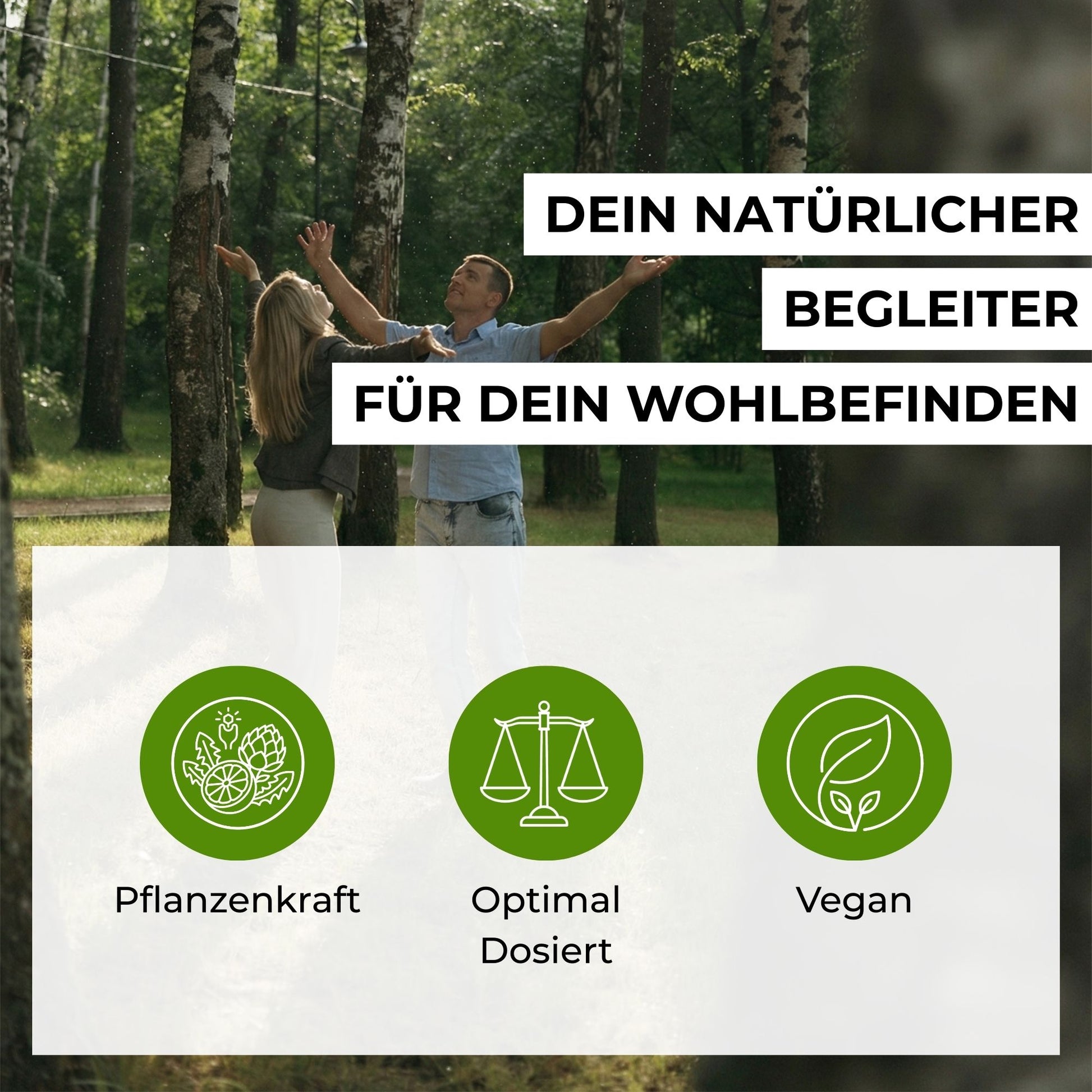 Infografik zum Leber-Komplex: Optimal abgestimmte pflanzliche Rezeptur mit Mariendistel-Extrakt, Artischocke und Löwenzahn für das allgemeine Wohlbefinden.