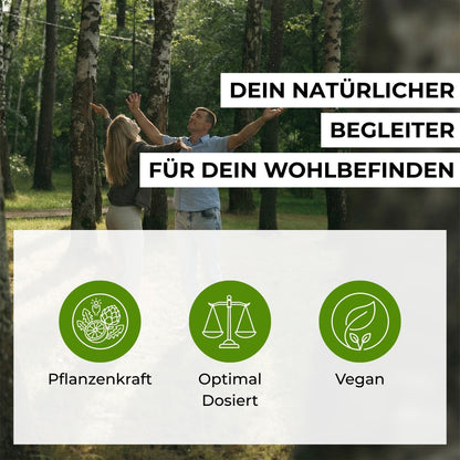 Infografik zum Leber-Komplex: Optimal abgestimmte pflanzliche Rezeptur mit Mariendistel-Extrakt, Artischocke und Löwenzahn für das allgemeine Wohlbefinden.