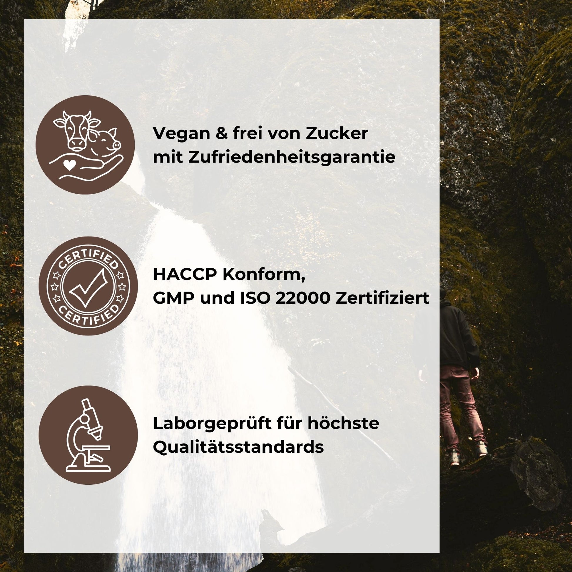 Löwenmähne Gummies Qualitätsversprechen: Vegan & frei von Zucker mit Zufriedenheitsgarantie, HACCP konform sowie GMP und ISO 22000 zertifiziert, laborgeprüft für höchste Qualitätsstandards