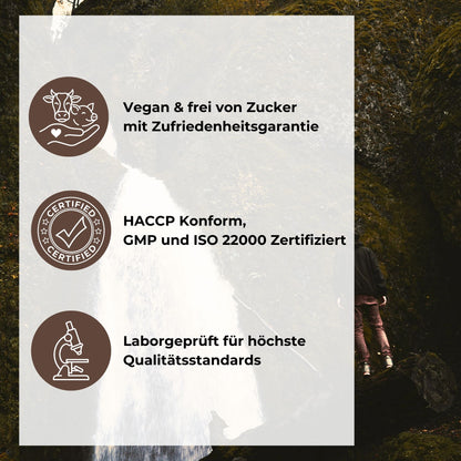 Löwenmähne Gummies Qualitätsversprechen: Vegan & frei von Zucker mit Zufriedenheitsgarantie, HACCP konform sowie GMP und ISO 22000 zertifiziert, laborgeprüft für höchste Qualitätsstandards
