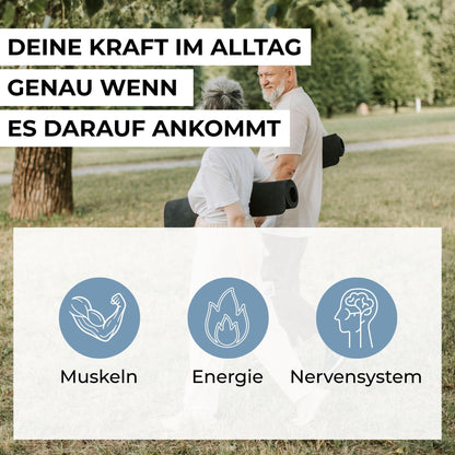 Infografik zu den Vorteilen des Magnesium-Komplexes: Unterstützung für Muskelfunktion, Nervensystem, Energiestoffwechsel und Verringerung von Müdigkeit.