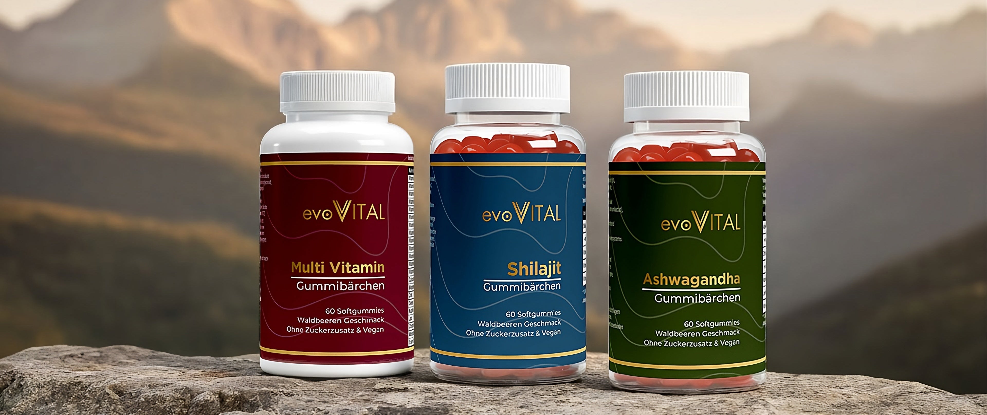 evoVital Multipack-Angebot: Sparen Sie beim Kauf von Vorratspackungen hochwertiger Nahrungsergänzungsmittel für langfristige Vitalität.