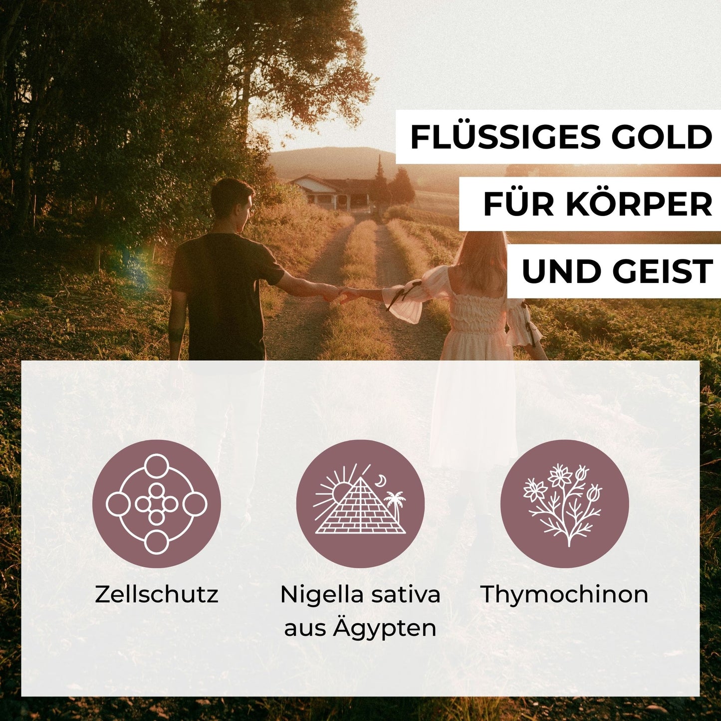 Infografik zu den Vorteilen von Schwarzkümmelöl: Kaltgepresstes ägyptisches Nigella Sativa mit Omega-6-Fettsäuren, Thymochinon und Vitamin E für Zellschutz.