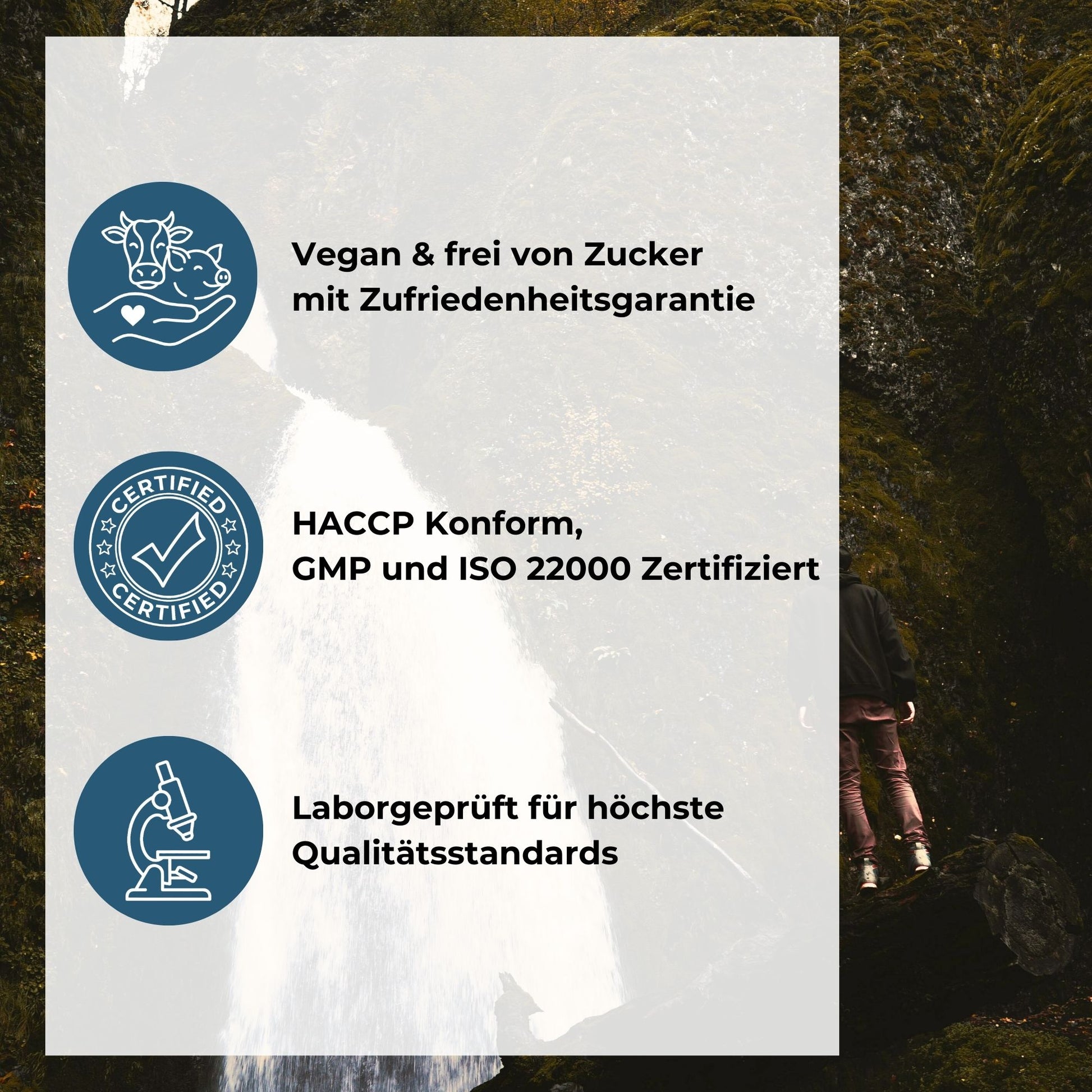 Shilajit Gummies Qualitätsversprechen: Vegan & frei von Zucker mit Zufriedenheitsgarantie, HACCP konform sowie GMP und ISO 22000 zertifiziert, laborgeprüft für höchste Qualitätsstandards