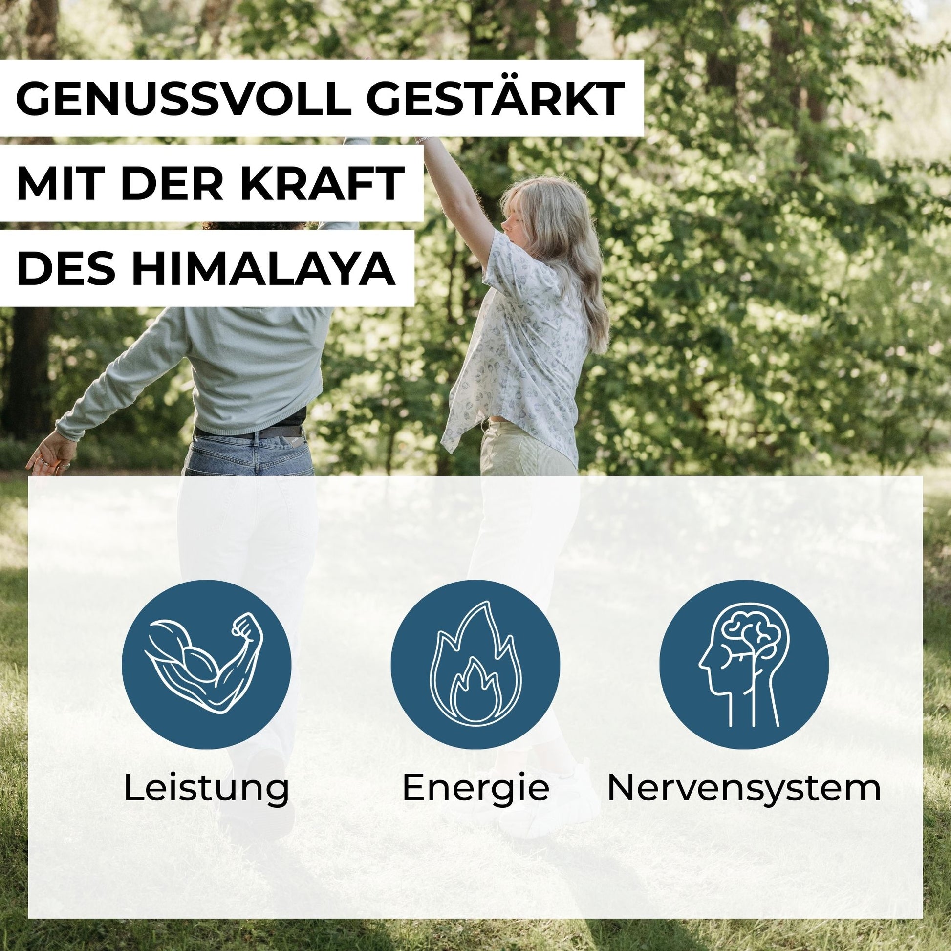 Infografik zu den Vorteilen der Shilajit-Gummies: Unterstützung für Energiestoffwechsel, Nervensystem, Immunsystem und Verringerung von Müdigkeit durch Vitamin C, B6 und B12.