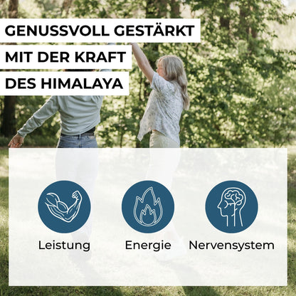 Infografik zu den Vorteilen der Shilajit-Gummies: Unterstützung für Energiestoffwechsel, Nervensystem, Immunsystem und Verringerung von Müdigkeit durch Vitamin C, B6 und B12.