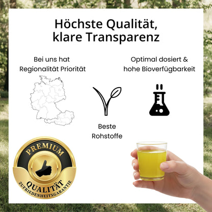 Infografik zu den evoVital Qualitätsmerkmalen: Veganer Premium-Shot mit Zitronengeschmack, ohne Zuckerzusatz, hergestellt aus laborgeprüften Rohstoffen, mit Zufriedenheitsgarantie.