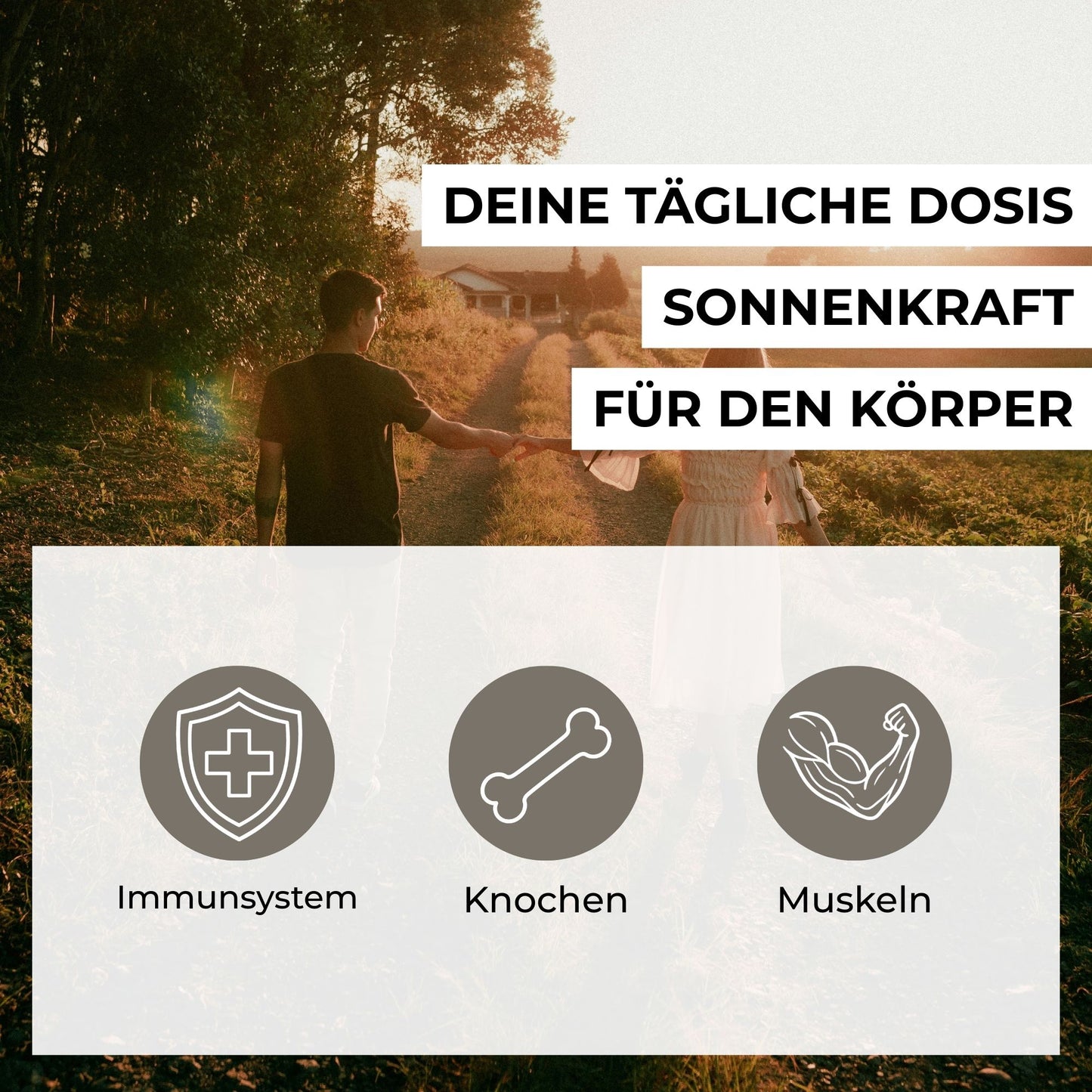Infografik zu den Vorteilen von Vitamin D3 & K2: Unterstützung für normale Knochen, Immunsystem, Muskelfunktion und Blutgerinnung in MCT-Öl.
