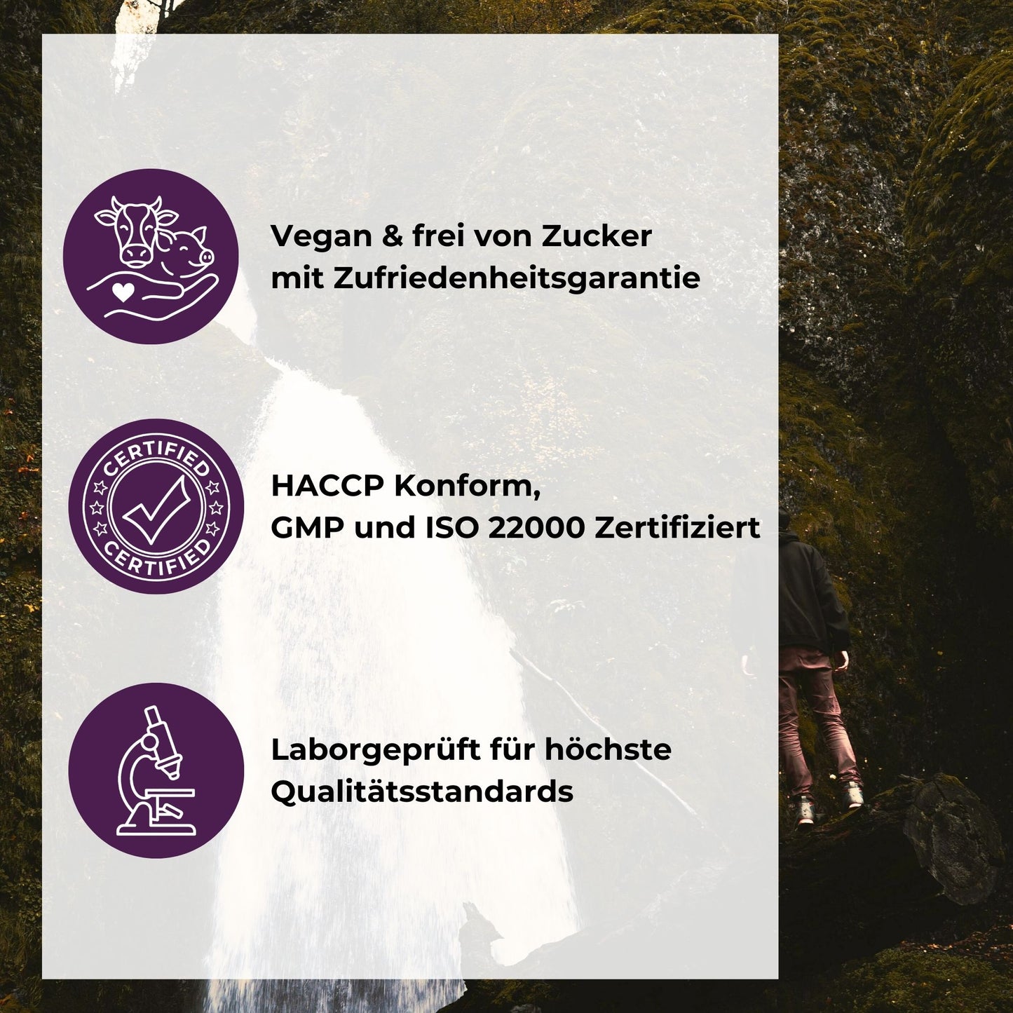 Zink & Vitamin C Gummies Qualitätsversprechen: Vegan & frei von Zucker mit Zufriedenheitsgarantie, HACCP konform sowie GMP und ISO 22000 zertifiziert, laborgeprüft für höchste Qualitätsstandards