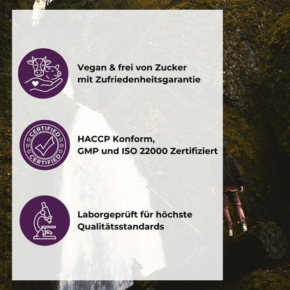 Zink & Vitamin C Gummies Qualitätsversprechen: Vegan & frei von Zucker mit Zufriedenheitsgarantie, HACCP konform sowie GMP und ISO 22000 zertifiziert, laborgeprüft für höchste Qualitätsstandards